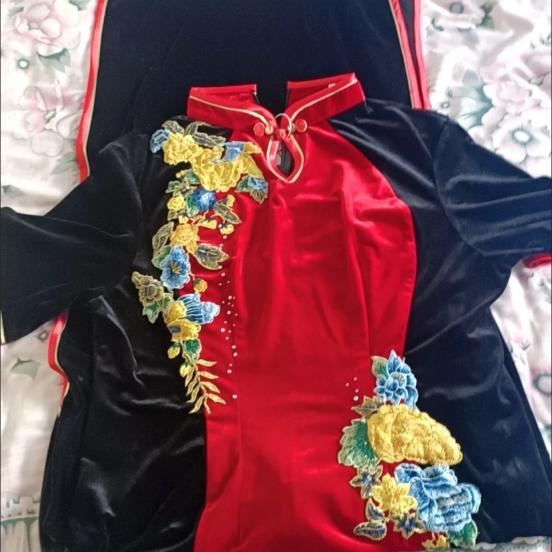 Vrouwen Vietnam Ao Dai Cheongs - Ao Dai Vietnam Dress recensie en prijs